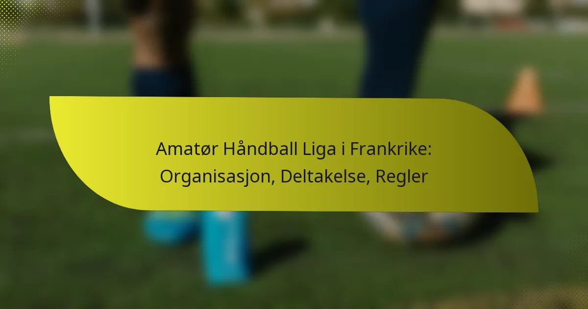 Amatør Håndball Liga i Frankrike: Organisasjon, Deltakelse, Regler