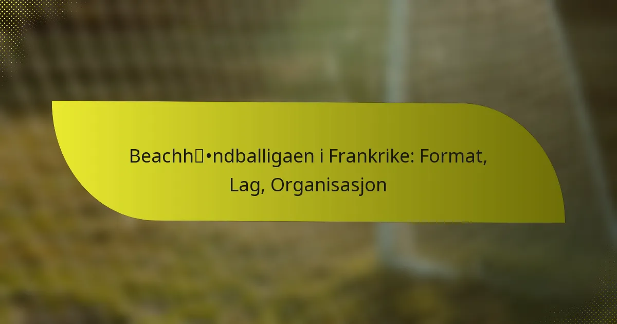 Beachhåndballigaen i Frankrike: Format, Lag, Organisasjon
