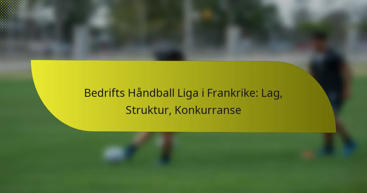 Bedrifts Håndball Liga i Frankrike: Lag, Struktur, Konkurranse