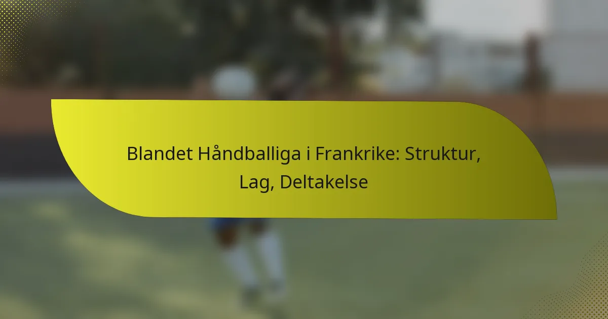 Blandet Håndballiga i Frankrike: Struktur, Lag, Deltakelse