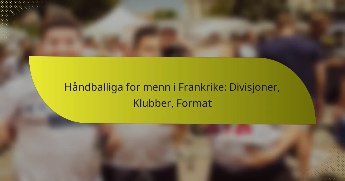 Håndballiga for menn i Frankrike: Divisjoner, Klubber, Format