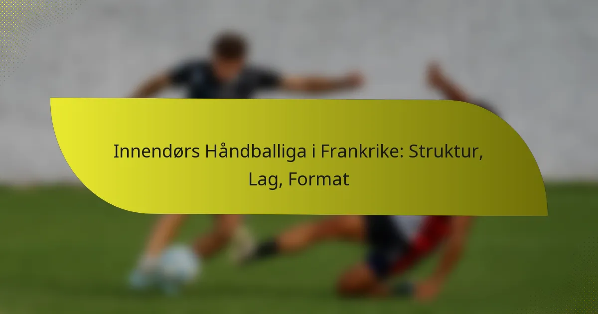 Innendørs Håndballiga i Frankrike: Struktur, Lag, Format