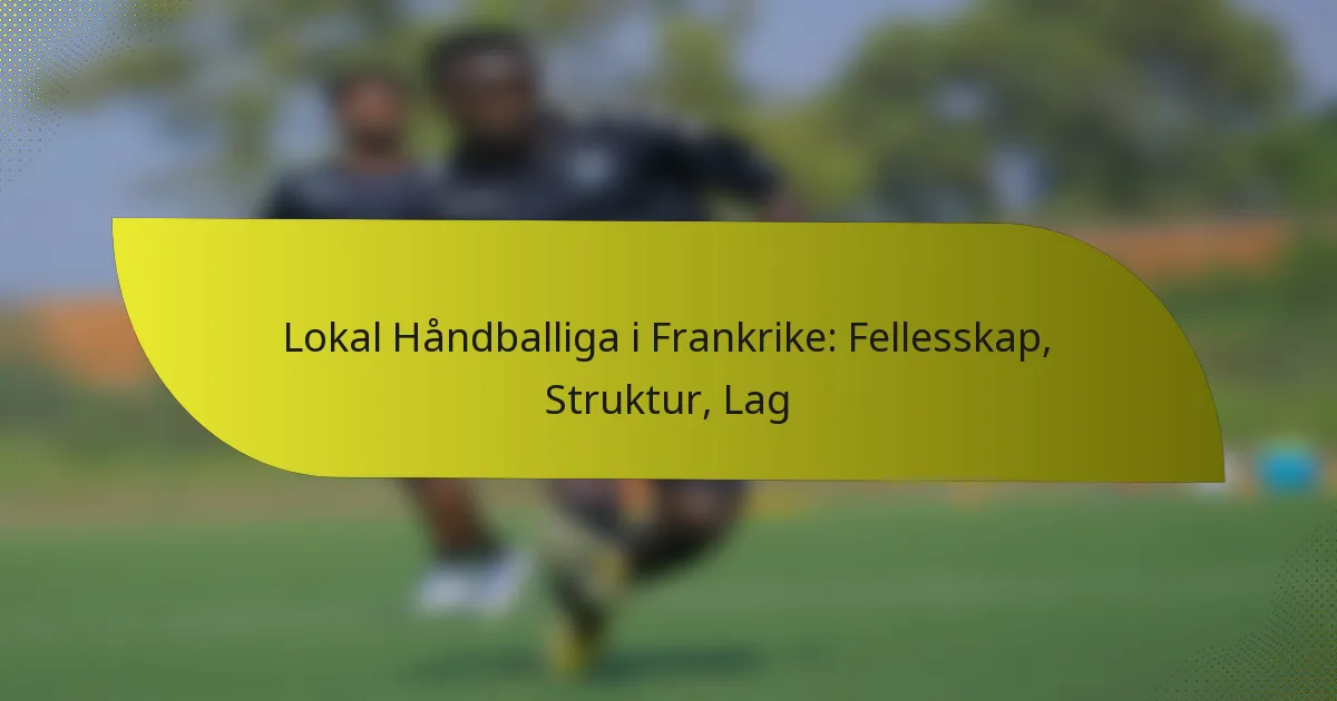 Lokal Håndballiga i Frankrike: Fellesskap, Struktur, Lag