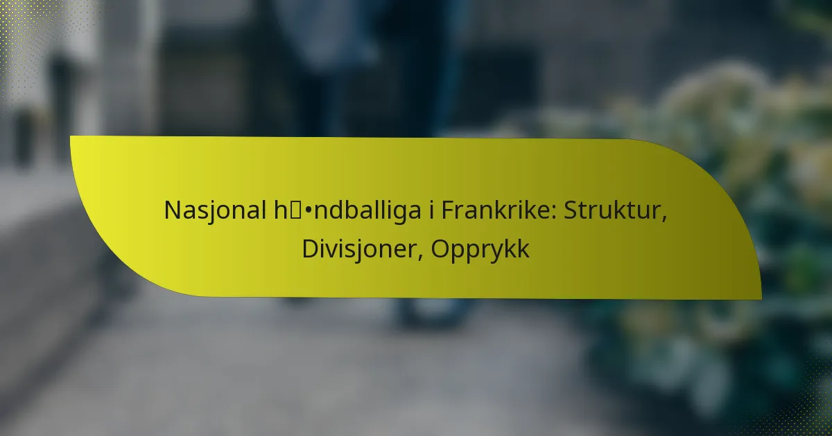 Nasjonal håndballiga i Frankrike: Struktur, Divisjoner, Opprykk