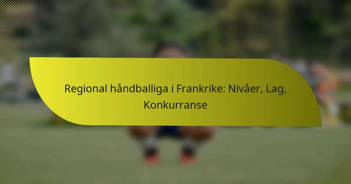 Regional håndballiga i Frankrike: Nivåer, Lag, Konkurranse