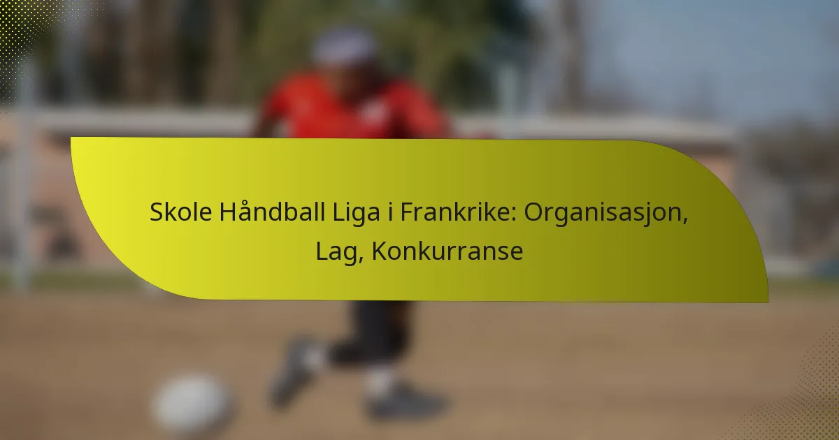 Skole Håndball Liga i Frankrike: Organisasjon, Lag, Konkurranse