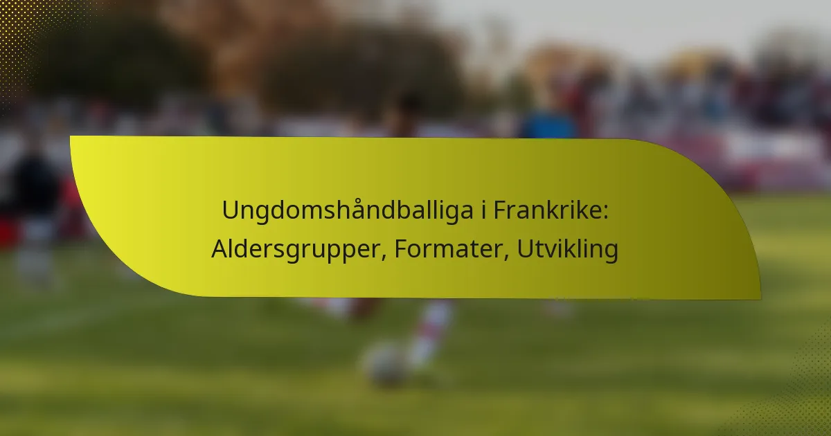 Ungdomshåndballiga i Frankrike: Aldersgrupper, Formater, Utvikling