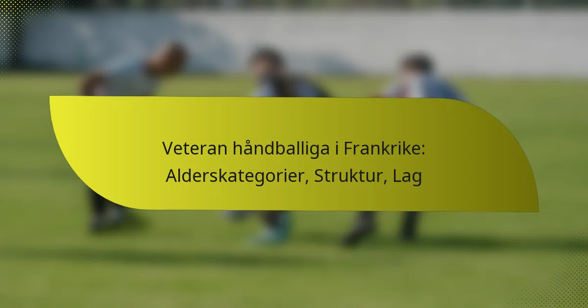Veteran håndballiga i Frankrike: Alderskategorier, Struktur, Lag