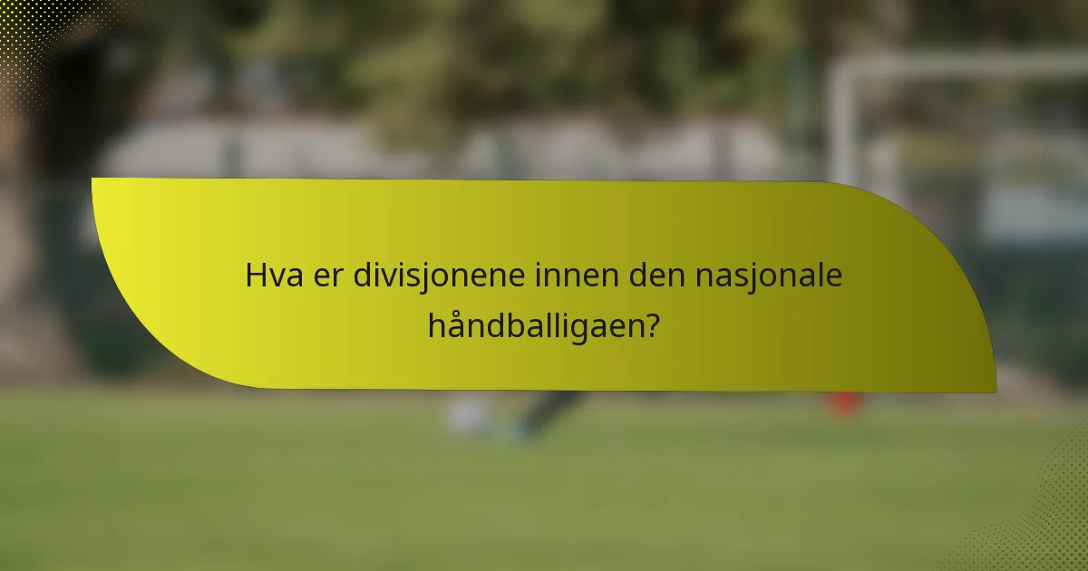 Hva er divisjonene innen den nasjonale håndballigaen?