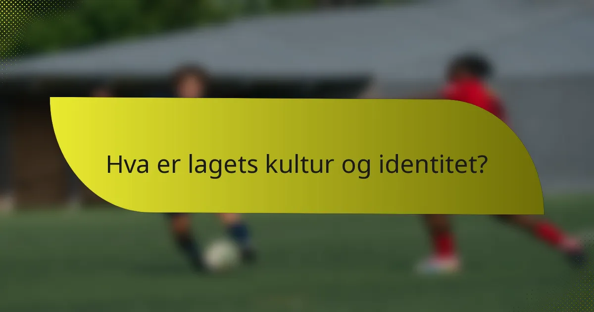 Hva er lagets kultur og identitet?