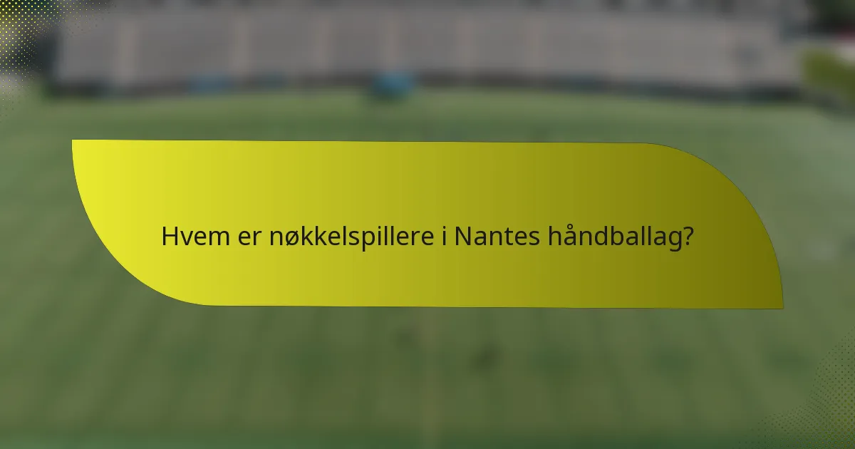 Hvem er nøkkelspillere i Nantes håndballag?