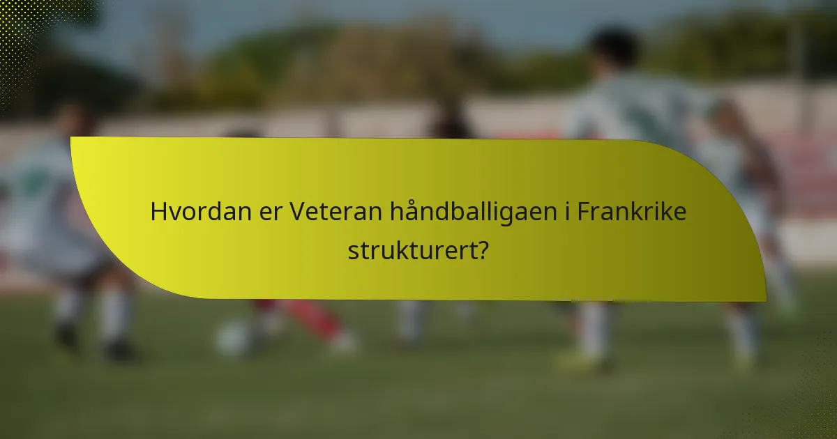 Hvordan er Veteran håndballigaen i Frankrike strukturert?