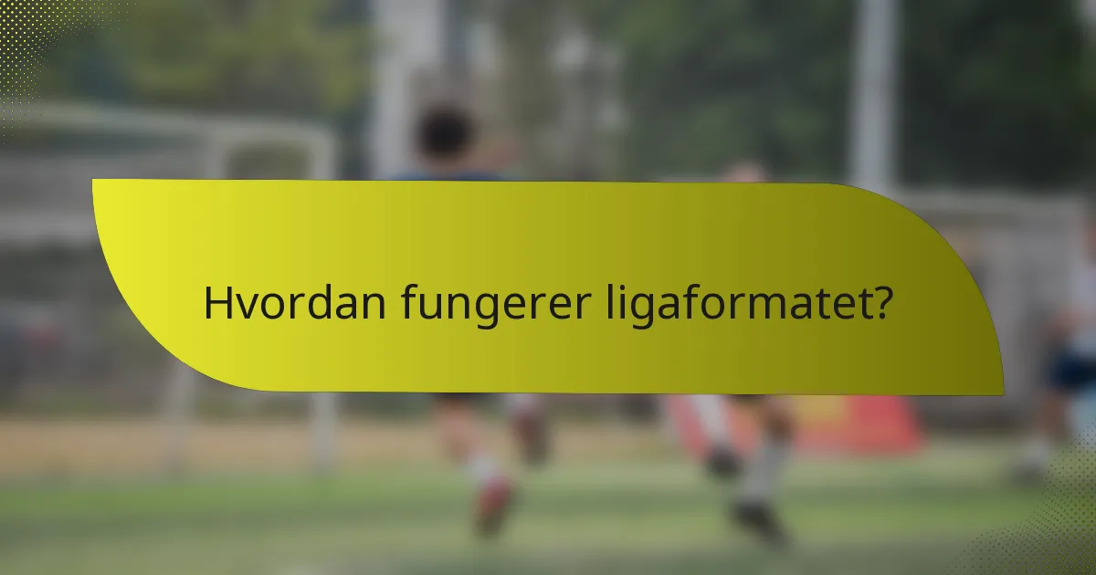 Hvordan fungerer ligaformatet?