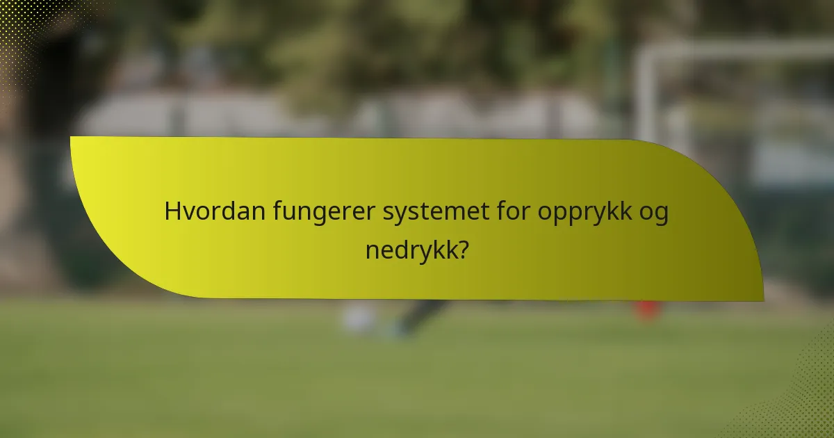 Hvordan fungerer systemet for opprykk og nedrykk?